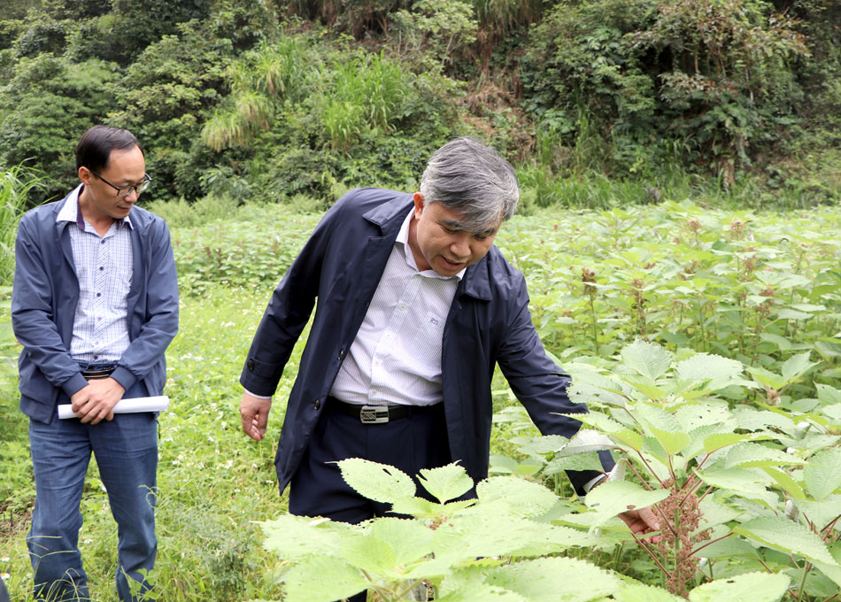 Điện Biên: Không để lãng phí đất nông nghiệp Điện Biên: Không để lãng phí đất nông nghiệp