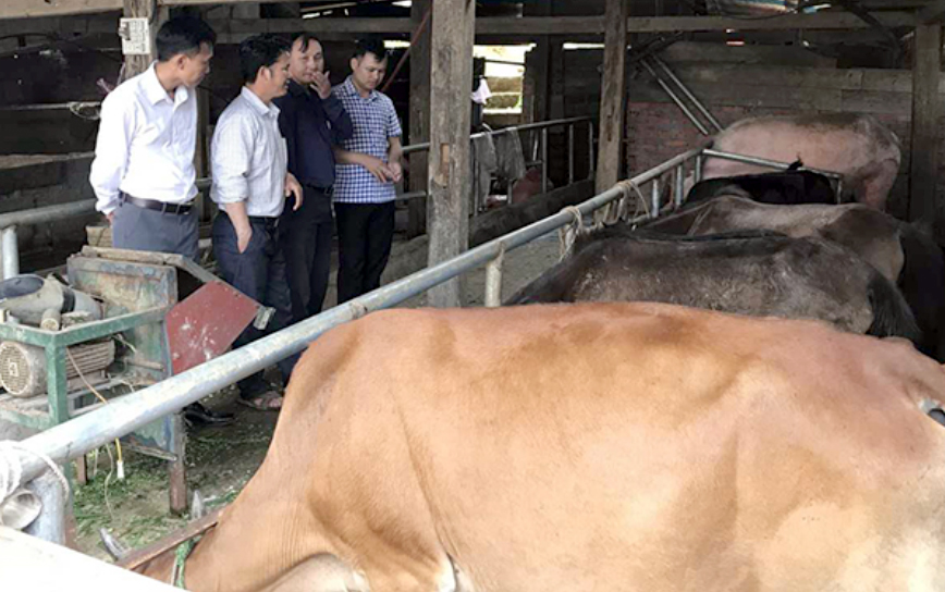 Yên Bái: Bản Mù đã sáng!