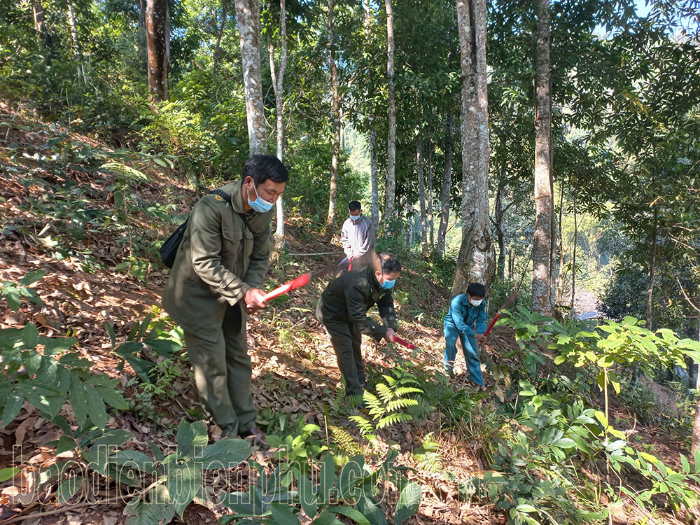 Điện Biên: Chuyện kể ở “núi thơm”