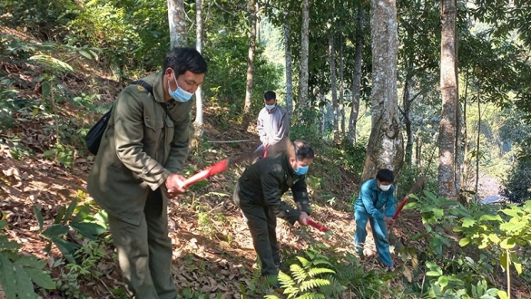 Điện Biên: Chuyện kể ở “núi thơm”