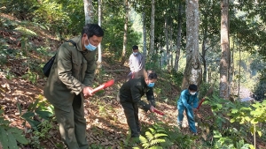 Điện Biên: Chuyện kể ở “núi thơm”