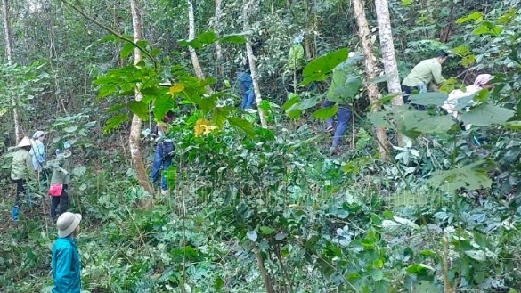 Điện Biên: Nhiều địa bàn cảnh báo cháy rừng cấp cực kỳ nguy hiểm