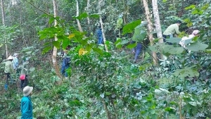 Điện Biên: Nhiều địa bàn cảnh báo cháy rừng cấp cực kỳ nguy hiểm