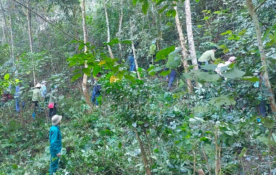 Điện Biên: Nhiều địa bàn cảnh báo cháy rừng cấp cực kỳ nguy hiểm