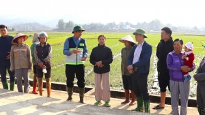 Điện Biên: Kiểm tra mô hình canh tác lúa thông minh, giảm phát thải nhà kính