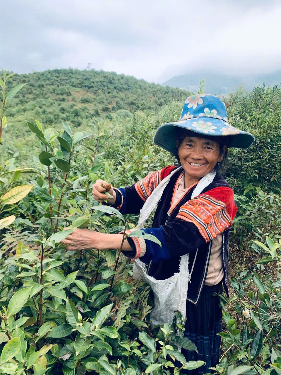 Điện Biên: Tủa Chùa nâng tầm sản phẩm OCOP Điện Biên: Tủa Chùa nâng tầm sản phẩm OCOP