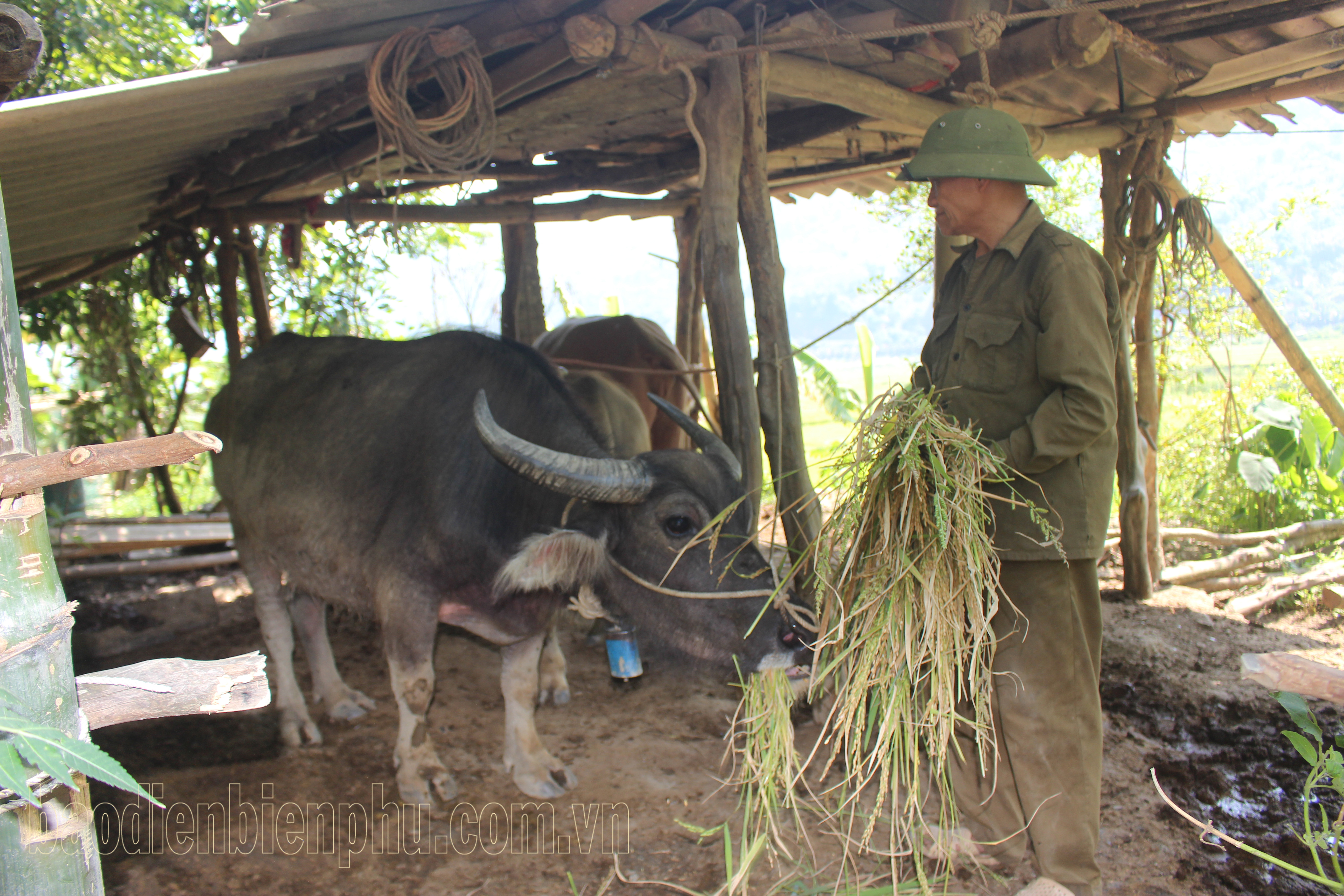 Điện Biên: Về xã nông thôn mới nâng cao Lay Nưa