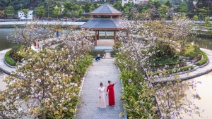 Điện Biên: Khởi động du lịch mùa hoa ban