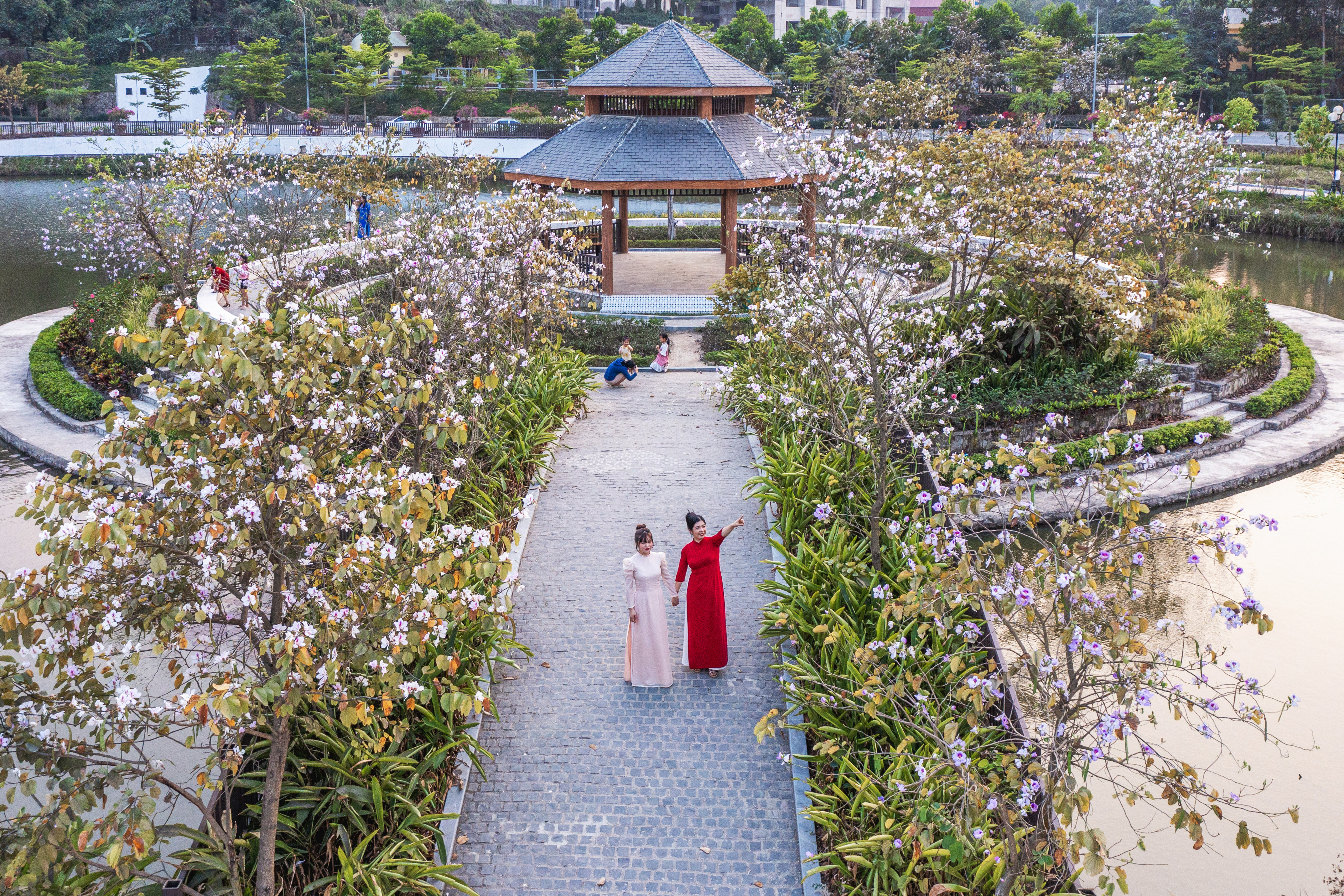 Điện Biên: Khởi động du lịch mùa hoa ban Điện Biên: Khởi động du lịch mùa hoa ban