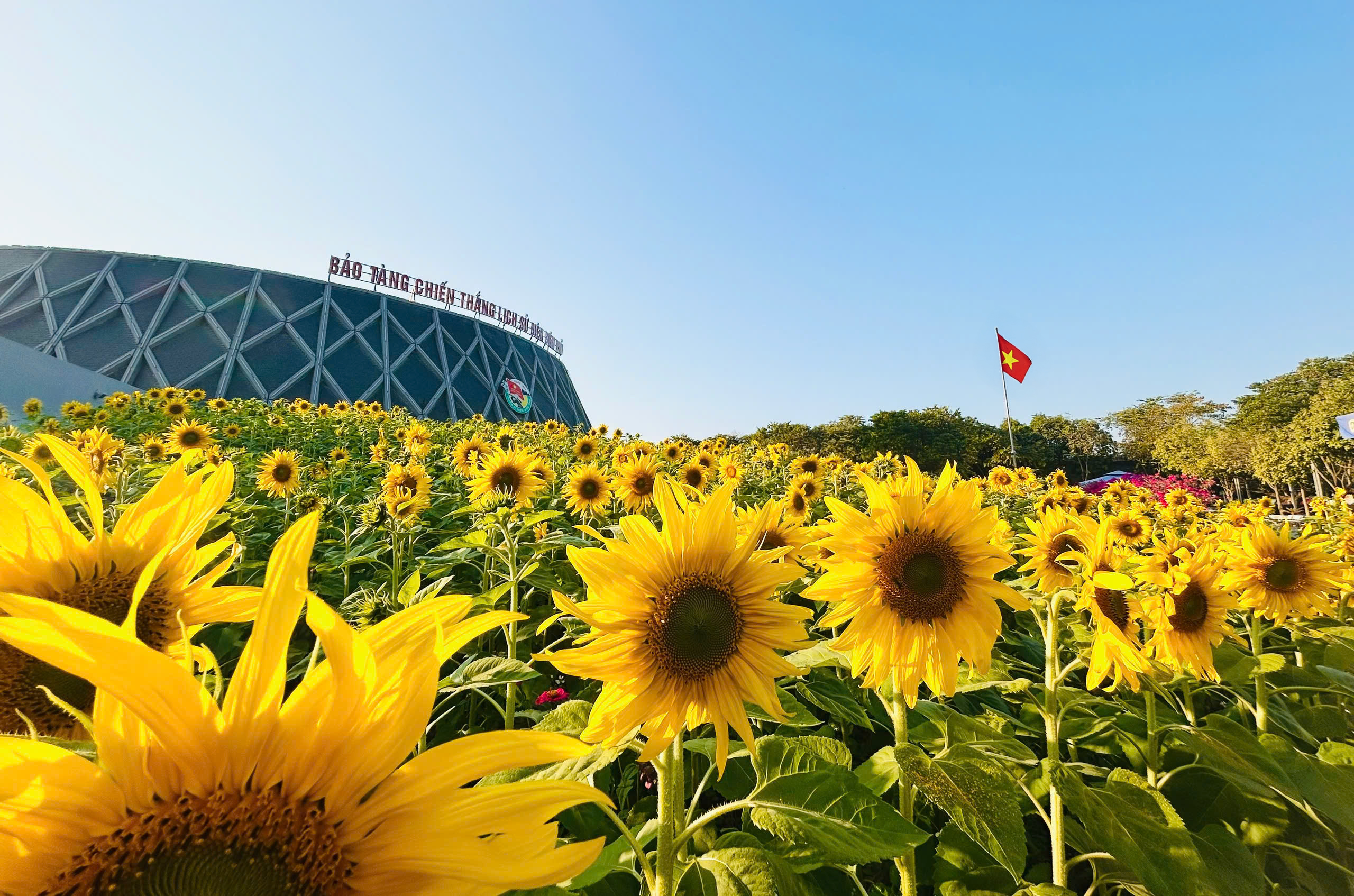 Điện Biên: Khởi động du lịch mùa hoa ban Điện Biên: Khởi động du lịch mùa hoa ban