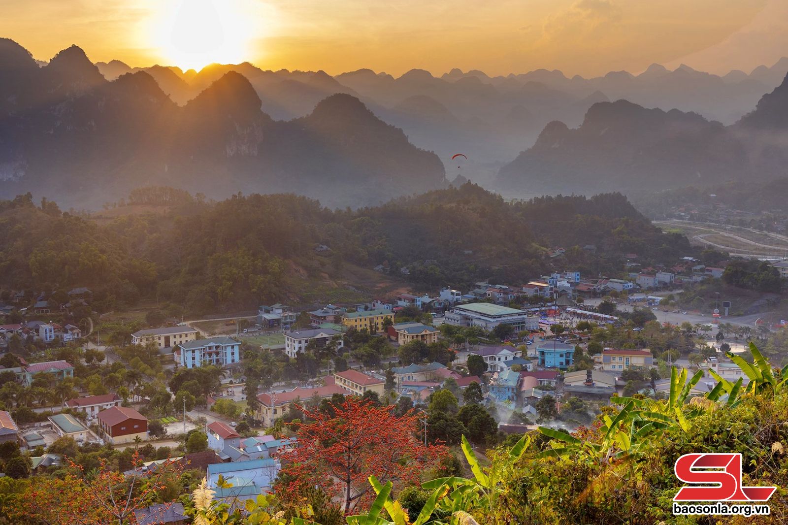 Sơn La: Mùa hoa mộc miên Sơn La: Mùa hoa mộc miên