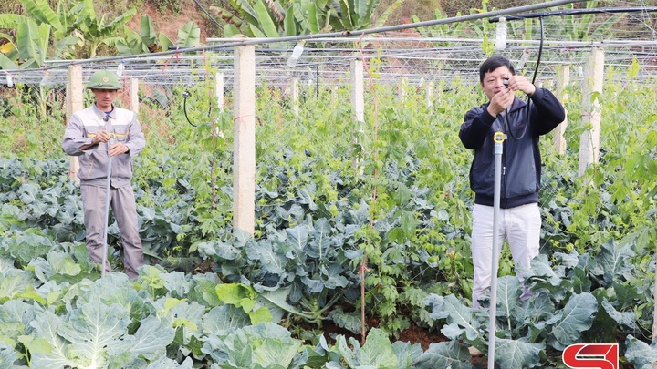 Sơn La: Nhiều hoạt động giúp hội viên phát triển sản xuất