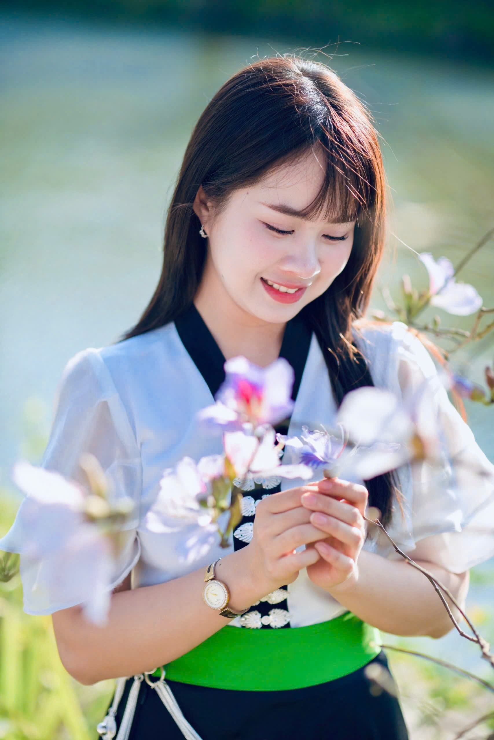 Điện Biên: Hoa ban rực rỡ giữa đại ngàn