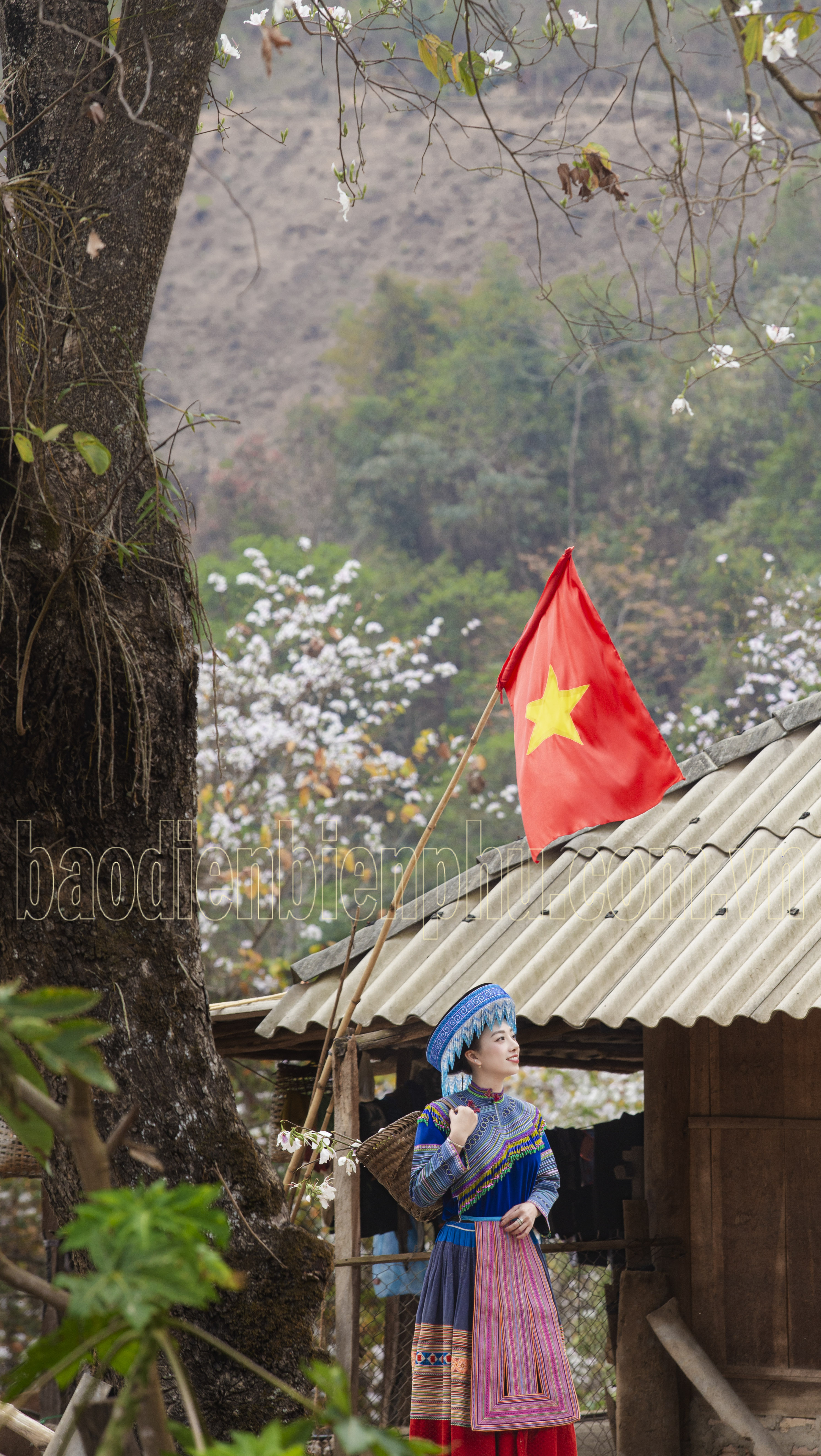 Điện Biên: Nặm Cứm trắng muốt hoa ban