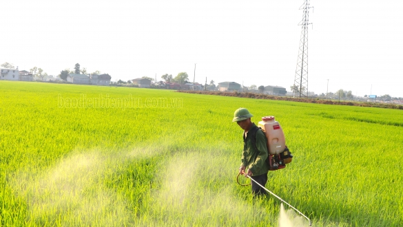 Điện Biên: Đầu mùa giải cây trồng Mưa