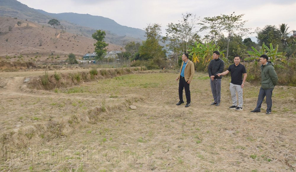 Điện Biên: Linh hoạt chuyển đổi cây trồng trên đất lúa