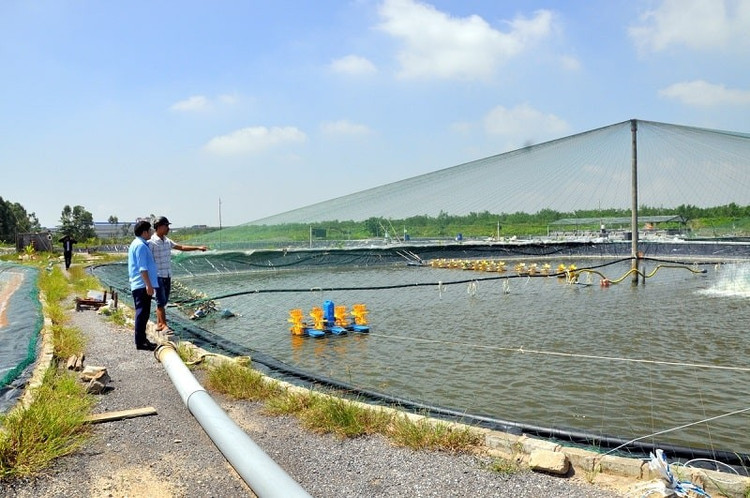 Đồng Tháp: Đấu giá 41 nền đất ở và 186.242 m2 diện tích nuôi trồng thủy sản tại xã Trường Xuân Đồng Tháp: Đấu giá 41 nền đất ở và 186.242 m2 diện tích nuôi trồng thủy sản tại xã Trường Xuân