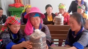 Yên Bái: Mù Cang Chải đào tạo nghề để giảm nghèo bền vững