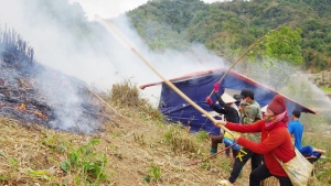 Sơn La: Chủ động phòng cháy, chữa cháy rừng