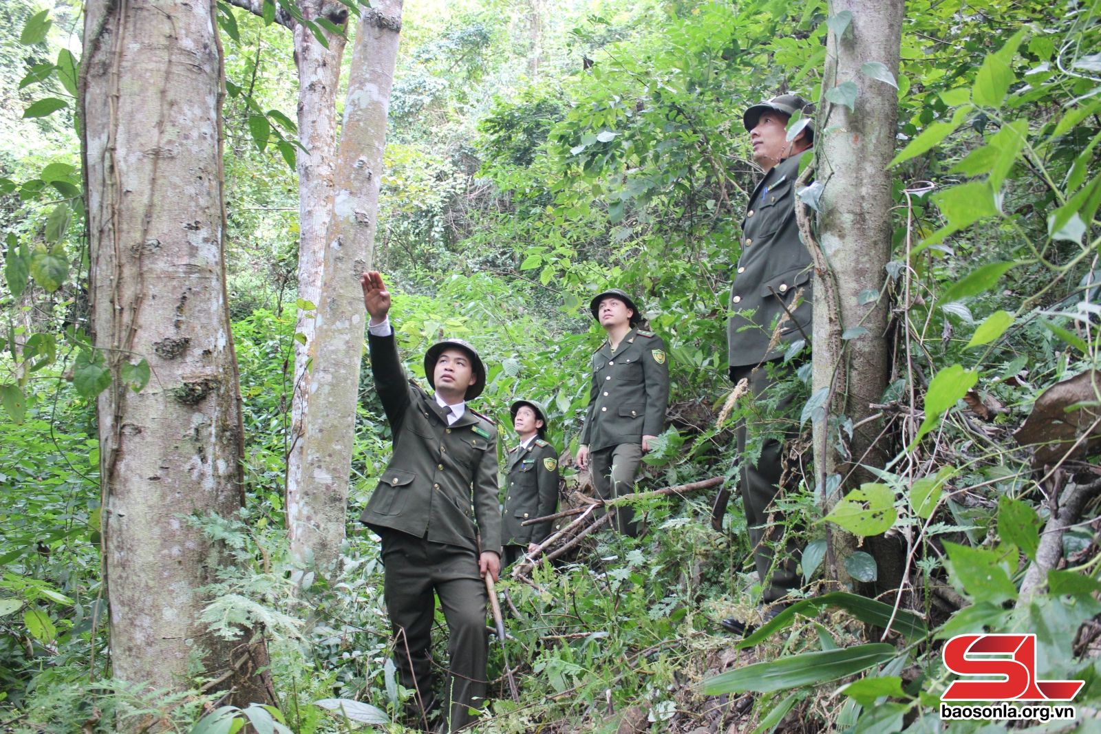Sơn La: Chủ động phòng cháy, chữa cháy rừng Sơn La: Chủ động phòng cháy, chữa cháy rừng