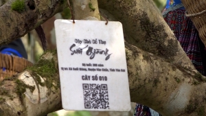 Yên Bái tăng cường số hóa trong lĩnh vực du lịch