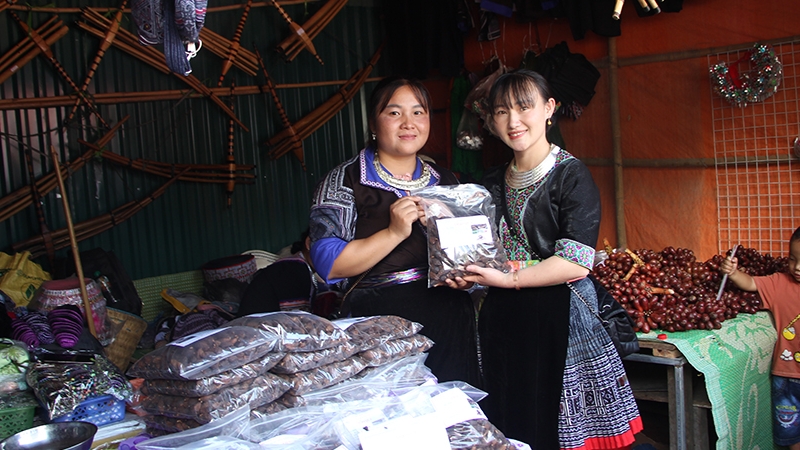 Yên Bái: Du lịch đưa sản vật quê hương vươn xa