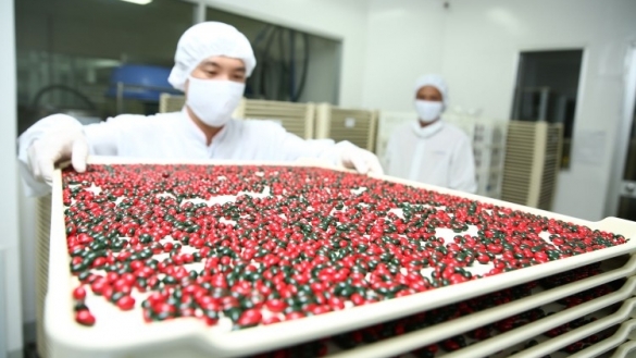 Gói thầu mua thuốc hơn 1.140 tỷ đồng tại Gia Lai: Nhiều lý do khiến nhà thầu “mắc kẹt”