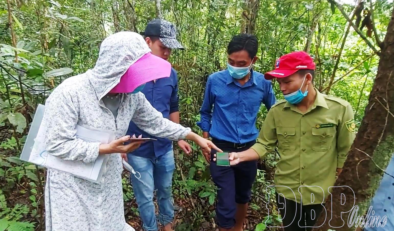 Điện Biên: Động lực để người dân nuôi rừng