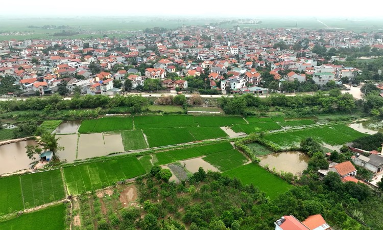 Quảng Trị đấu giá thành công 10 lô đất Ảnh chỉ mang tính minh họa. Nguồn Internet