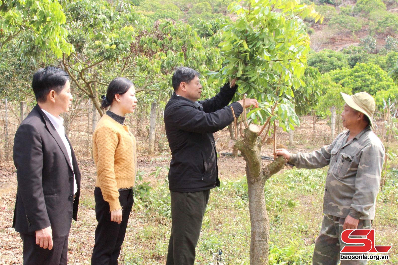 Đa dạng các mô hình giúp nông dân làm giàu Đa dạng các mô hình giúp nông dân làm giàu