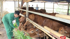Sơn La: Đa dạng các mô hình giúp nông dân làm giàu