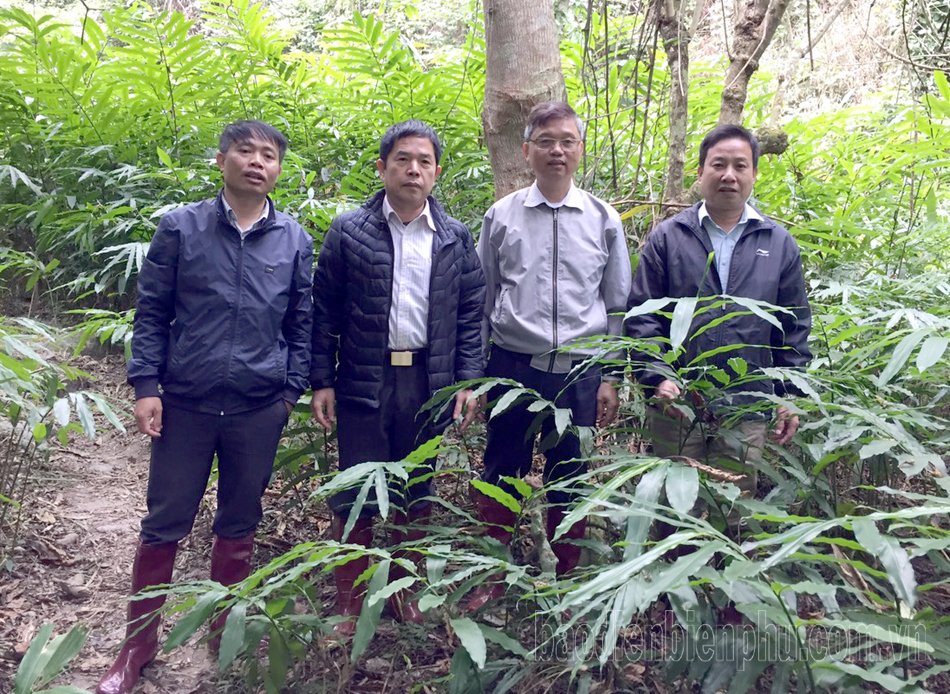 Cà Mau: Cơ hội cải thiện sinh kế Cà Mau: Cơ hội cải thiện sinh kế