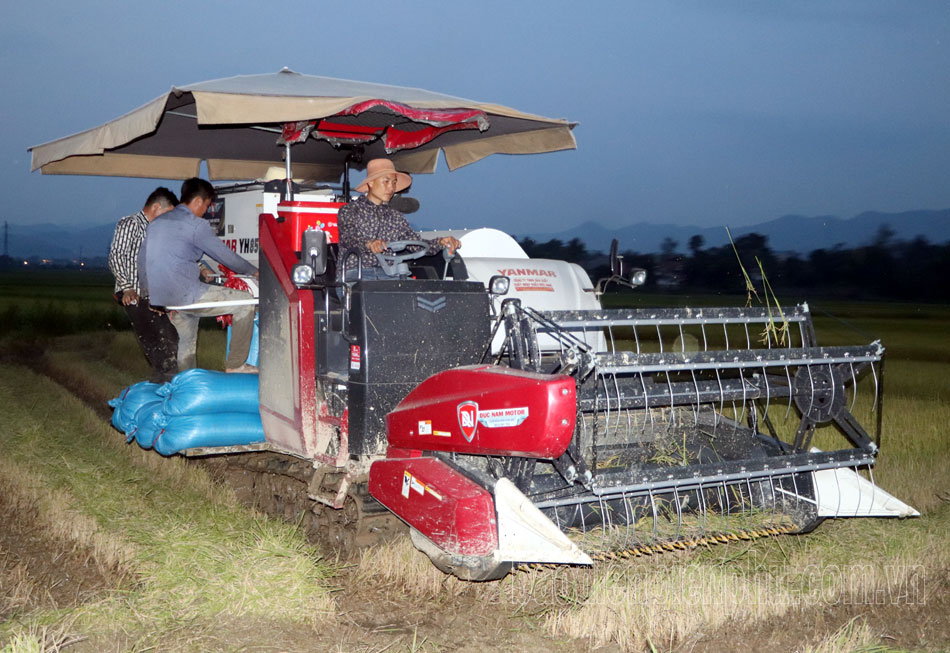 Điện Biên: Lúa đông xuân được mùa, được giá Điện Biên: Lúa đông xuân được mùa, được giá