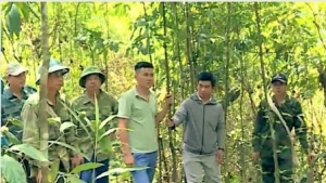 Điện Biên: Mường Pồn hiện thực hoá cam kết bảo vệ rừng
