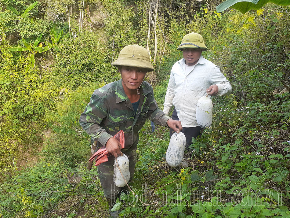 Điện Biên: Nhiều sản phẩm OCOP hết hạn sử dụng nhãn hiệu Điện Biên: Nhiều sản phẩm OCOP hết hạn sử dụng nhãn hiệu