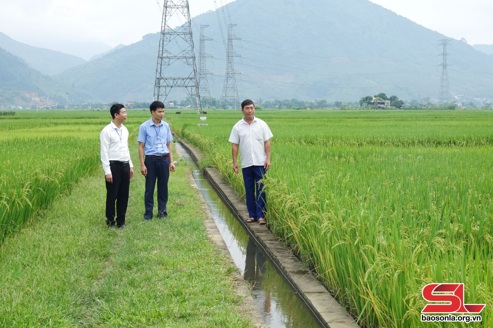 Sơn La: Chuyển đổi hình thức tổ chức sản xuất nông nghiệp bền vững Sơn La: Chuyển đổi hình thức tổ chức sản xuất nông nghiệp bền vững