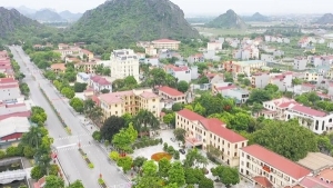 Ninh Bình sẽ đấu giá hơn 400 lô đất trong tháng 5, giá khởi điểm từ 5,1 triệu đồng/m2