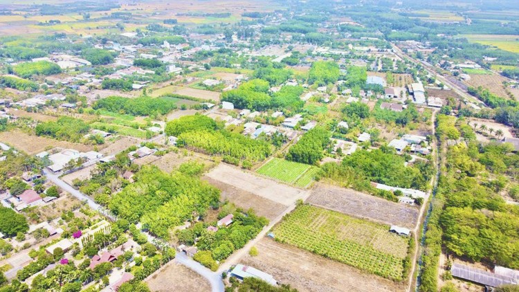 Huyện Hóc Môn muốn đấu giá sớm khu đất 290 ha phát triển đô thị theo mô hình TOD Huyện Hóc Môn muốn đấu giá sớm khu đất 290 ha phát triển đô thị theo mô hình TOD