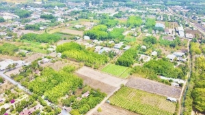 Huyện Hóc Môn muốn đấu giá sớm khu đất 290 ha phát triển đô thị theo mô hình TOD