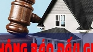 Agribank đấu giá khoản nợ 114,7 tỷ đồng của Dược phẩm Long Việt Hà Nội