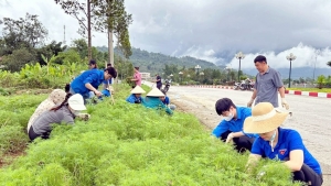 Điện Biên: Tình nguyện vì môi trường sạch đẹp
