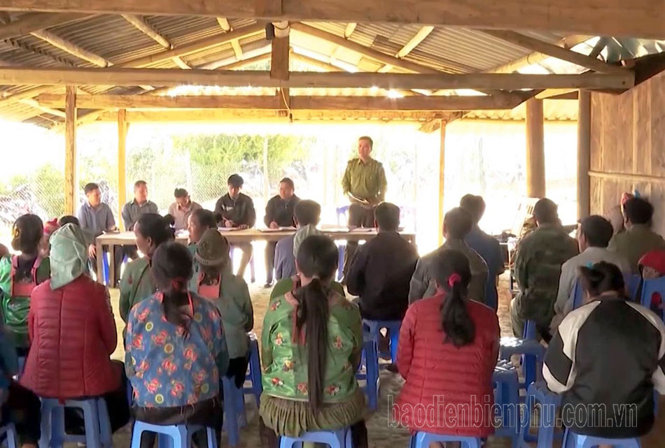 Điện Biên: Người dân Tênh Phông giữ rừng Điện Biên: Người dân Tênh Phông giữ rừng