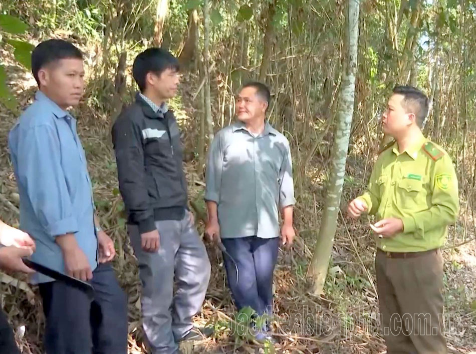 Điện Biên: Người dân Tênh Phông giữ rừng Điện Biên: Người dân Tênh Phông giữ rừng