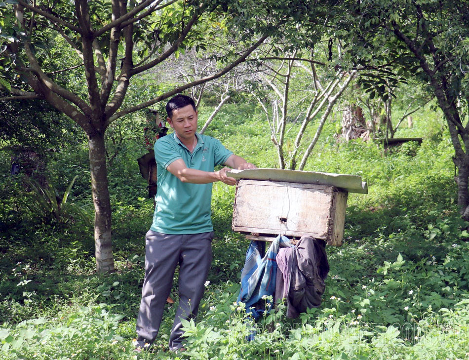 Điện Biên: Đảng viên trẻ gương mẫu, đi đầu Điện Biên: Đảng viên trẻ gương mẫu, đi đầu