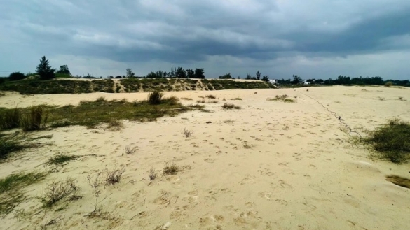 Quảng Nam: Đấu giá vật liệu cát đổ nền sau nạo vét sông Cổ Cò