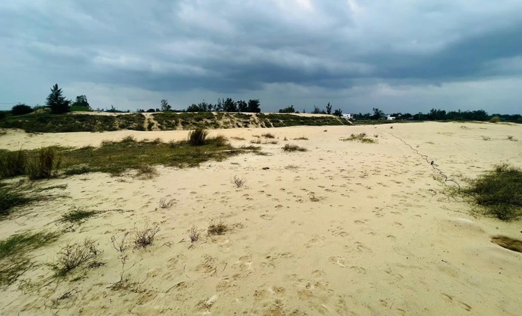 Đấu giá vật liệu cát đổ nền sau nạo vét sông Cổ Cò (Quảng Nam) Đấu giá vật liệu cát đổ nền sau nạo vét sông Cổ Cò (Quảng Nam)