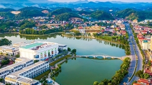 Yên Bái: Đấu giá đất dự án chợ trung tâm, chợ dân sinh