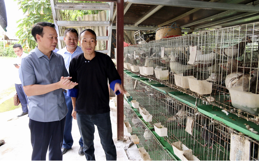 Yên Bái: Mù Cang Chải tích cực chuyển đổi cơ cấu cây trồng, vật nuôi Yên Bái: Mù Cang Chải tích cực chuyển đổi cơ cấu cây trồng, vật nuôi