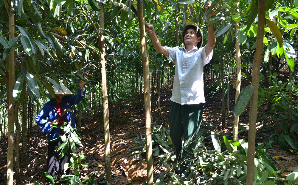 Yên Bái: Người thương binh “Tàn nhưng không phế” Yên Bái: Người thương binh “Tàn nhưng không phế”