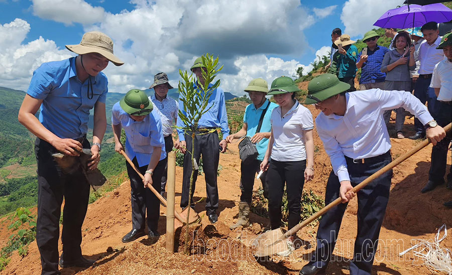 Điện Biên:Quy hoạch các vùng chuyên canh nông nghiệp Điện Biên:Quy hoạch các vùng chuyên canh nông nghiệp